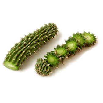 hoodia gordonia - องค์ประกอบ Reduslim